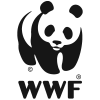 wnf wnf